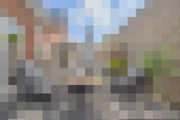 Vesting 33 Berkel en Rodenrijs thumbnail 14