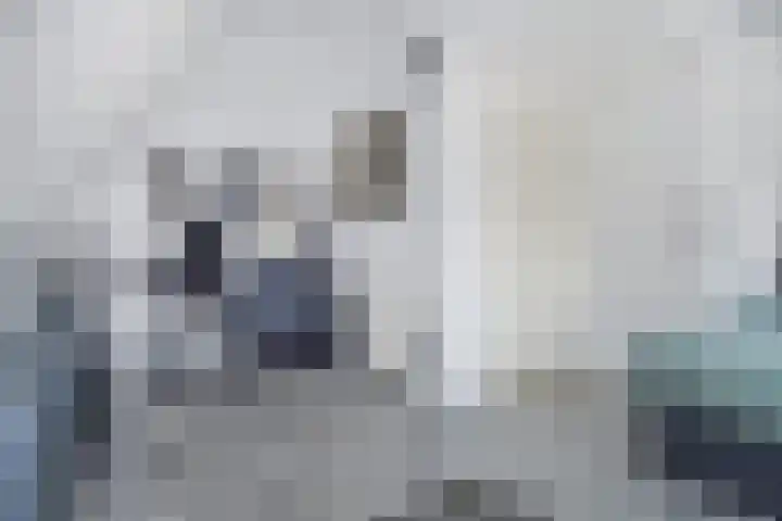 Vesting 33 Berkel en Rodenrijs thumbnail 37