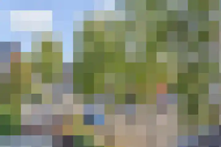 Vesting 33 Berkel en Rodenrijs thumbnail 40