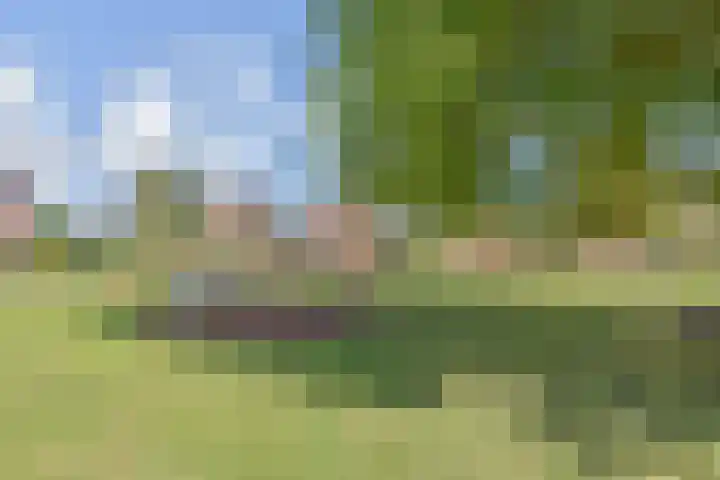 Vesting 33 Berkel en Rodenrijs thumbnail 43
