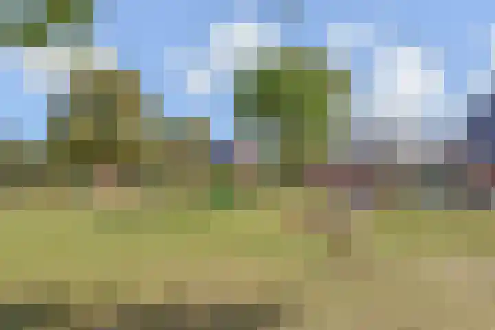 Vesting 33 Berkel en Rodenrijs thumbnail 44