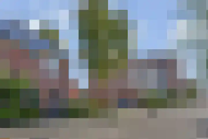 Vesting 33 Berkel en Rodenrijs thumbnail 6