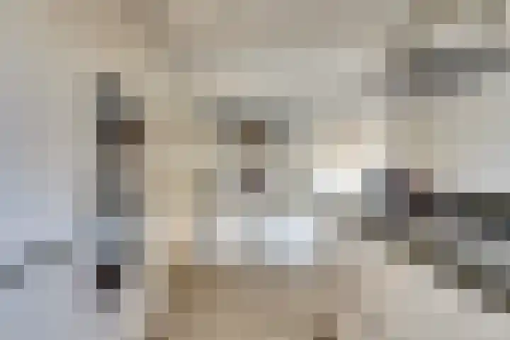 Vesting 37 Wijk bij Duurstede thumbnail 10