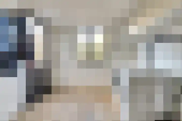 Vesting 37 Wijk bij Duurstede thumbnail 15