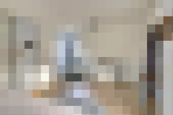 Vesting 37 Wijk bij Duurstede thumbnail 21
