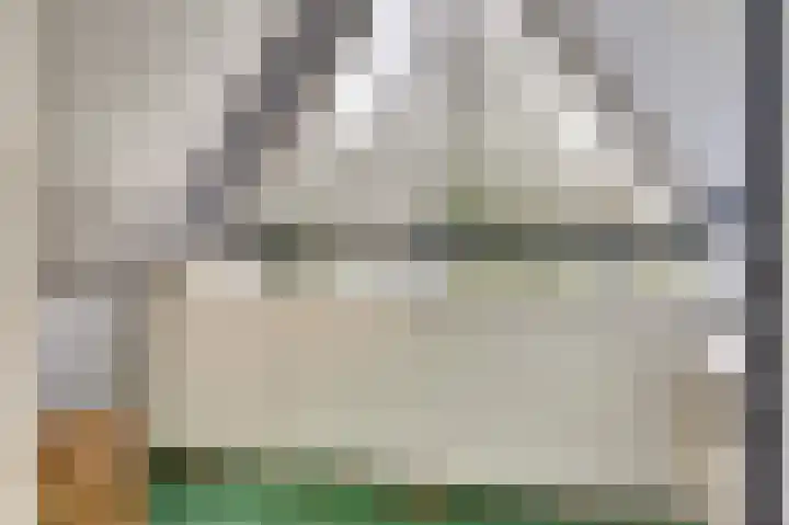 Vesting 37 Wijk bij Duurstede thumbnail 22