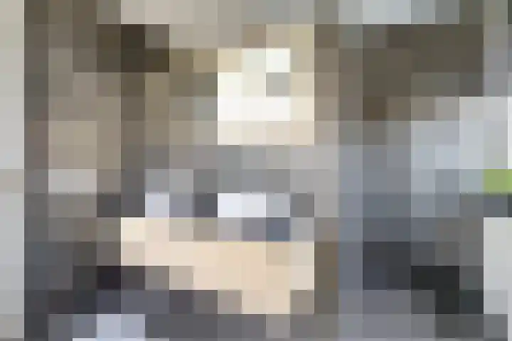 Vesting 37 Wijk bij Duurstede thumbnail 27