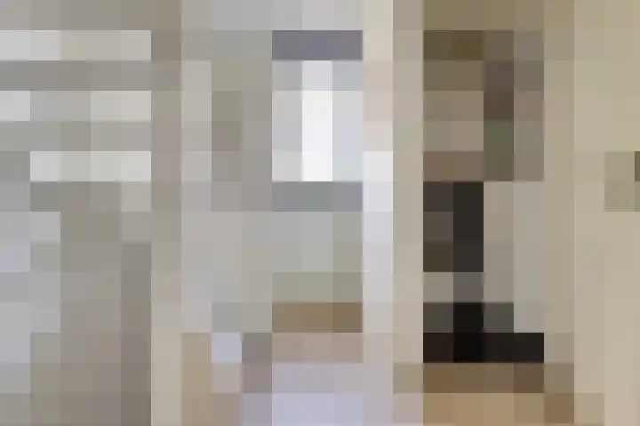 Vesting 37 Wijk bij Duurstede thumbnail 29