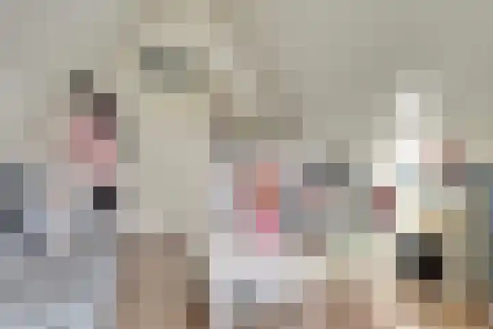 Vesting 37 Wijk bij Duurstede thumbnail 34