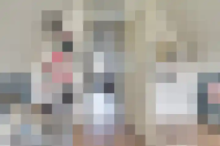 Vesting 37 Wijk bij Duurstede thumbnail 35