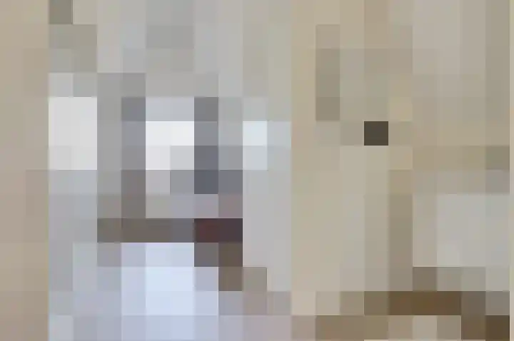Vesting 37 Wijk bij Duurstede thumbnail 37