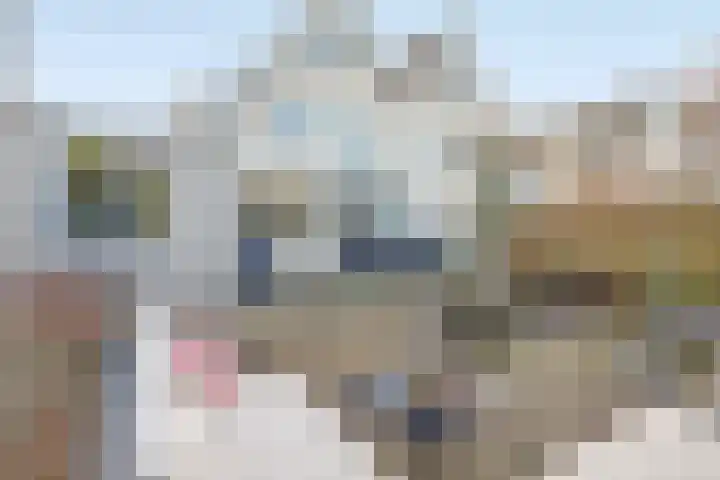 Vesting 37 Wijk bij Duurstede thumbnail 39
