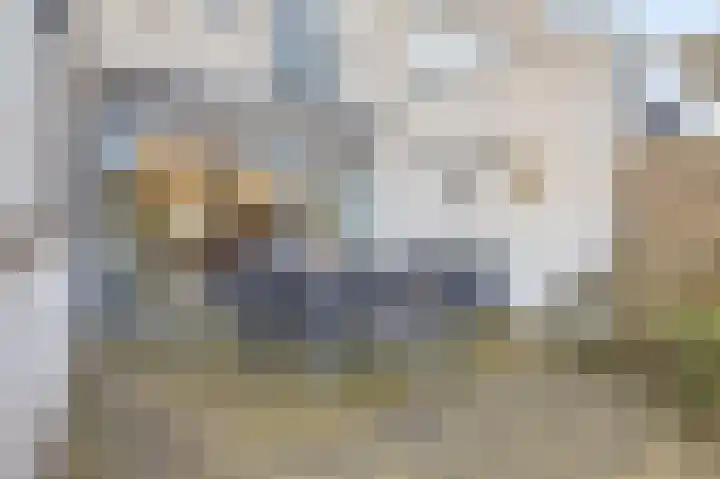 Vesting 37 Wijk bij Duurstede thumbnail 41