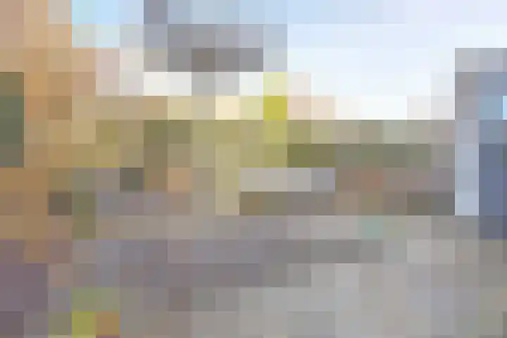 Vesting 37 Wijk bij Duurstede thumbnail 44