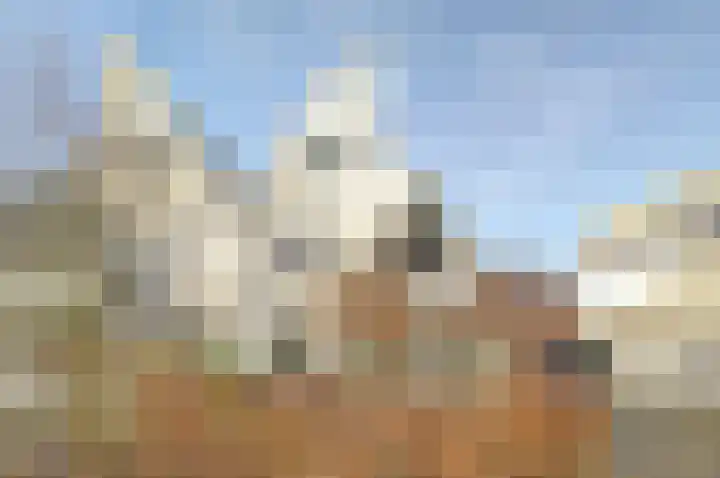 Vesting 37 Wijk bij Duurstede thumbnail 46