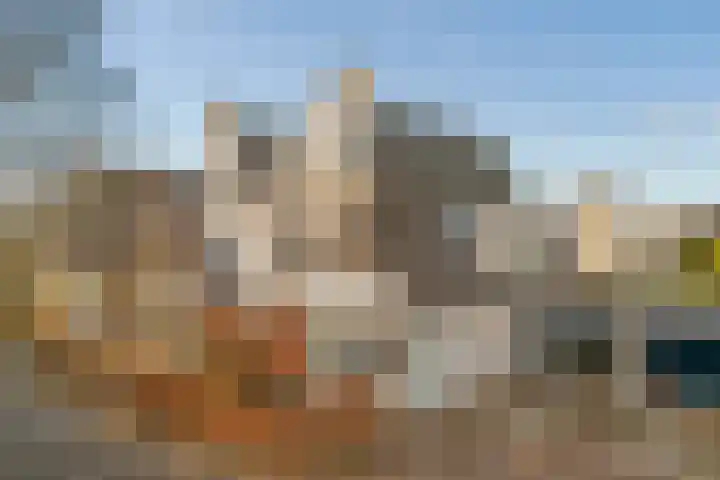 Vesting 37 Wijk bij Duurstede thumbnail 50
