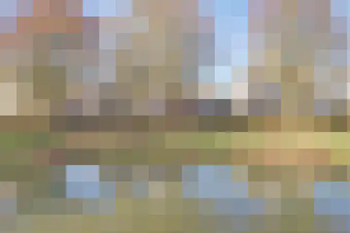 Vesting 37 Wijk bij Duurstede thumbnail 54