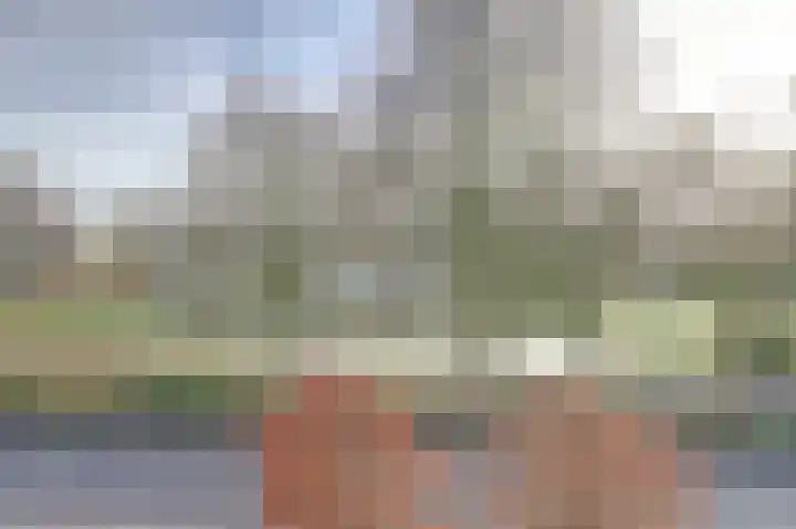 Vesting 37 Wijk bij Duurstede thumbnail 56