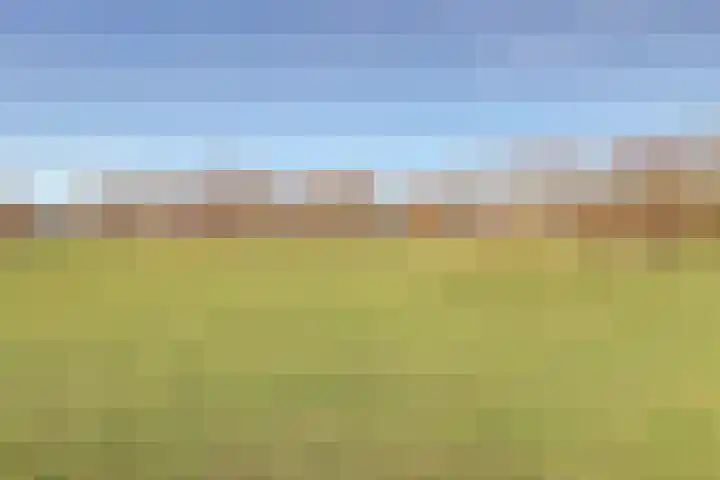 Vesting 37 Wijk bij Duurstede thumbnail 57