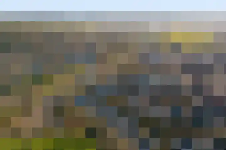 Vesting 37 Wijk bij Duurstede thumbnail 61