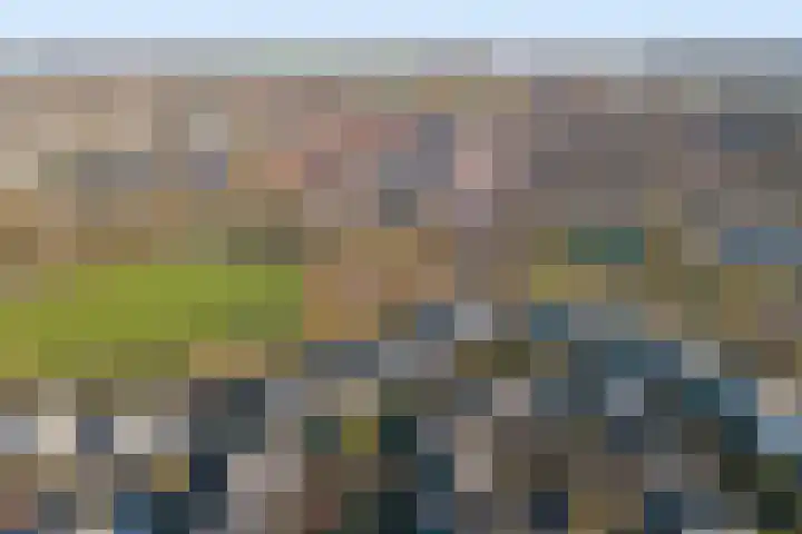Vesting 37 Wijk bij Duurstede thumbnail 62