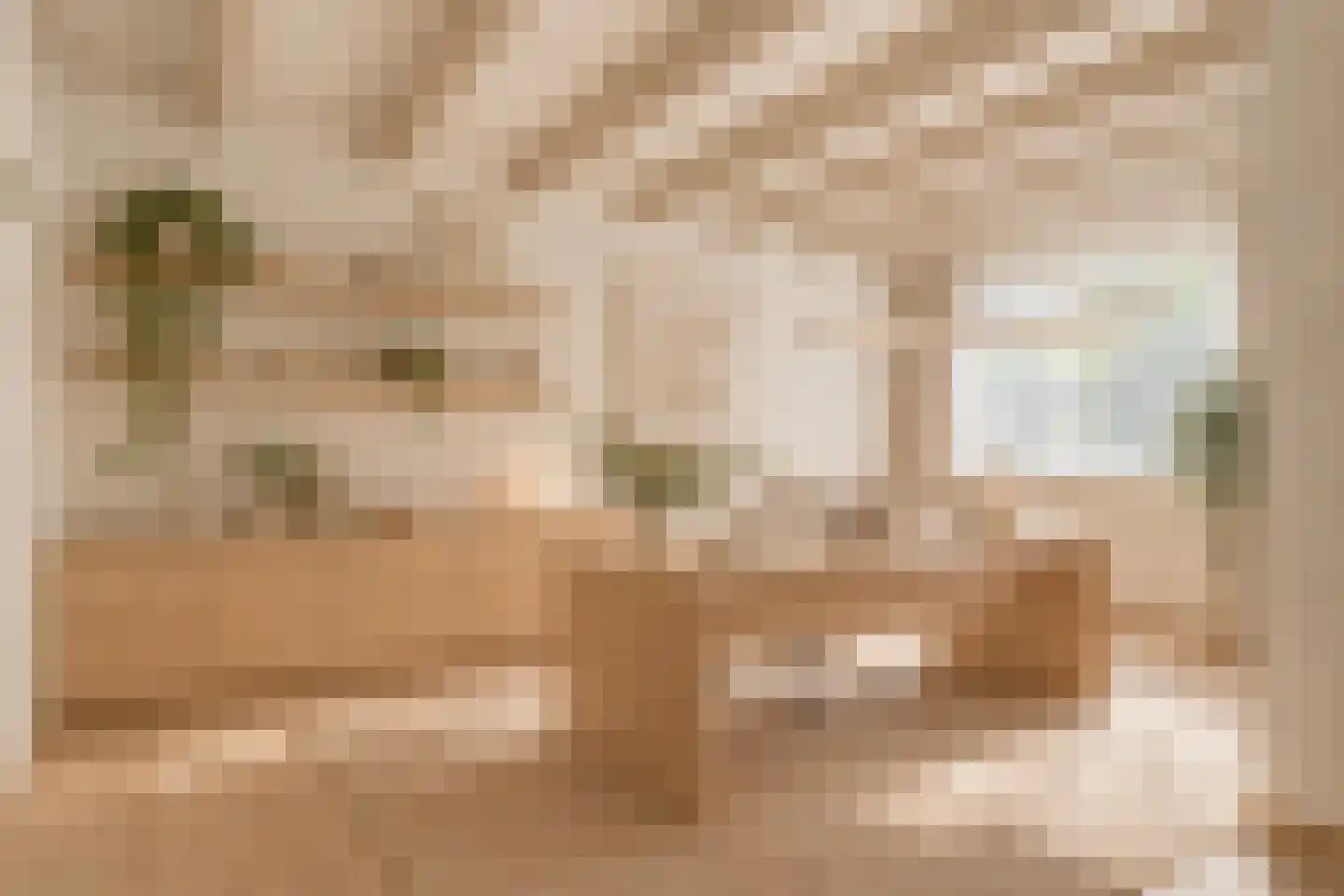 Vesting 47 Wijk bij Duurstede thumbnail 12