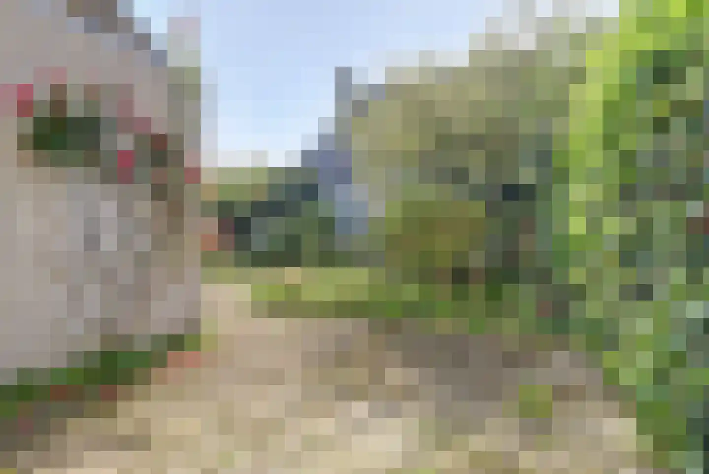 Vesting 47 Wijk bij Duurstede thumbnail 54
