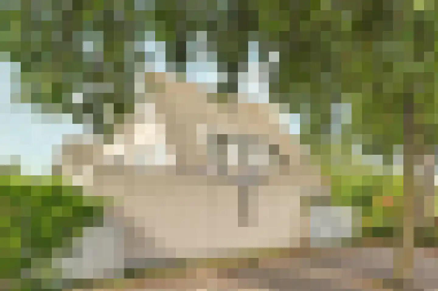 Vesting 47 Wijk bij Duurstede thumbnail 59