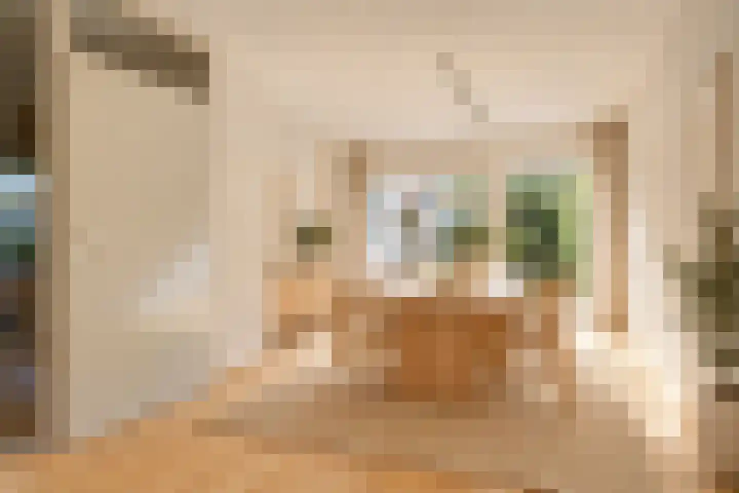 Vesting 47 Wijk bij Duurstede thumbnail 6