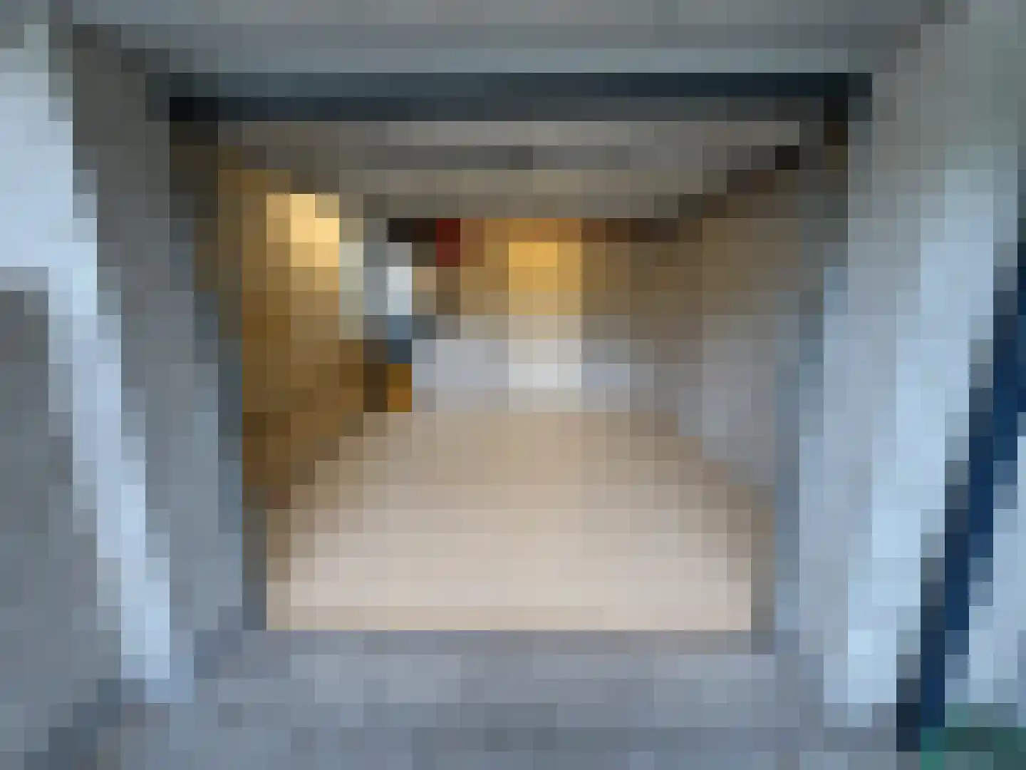 Vesting 47 Wijk bij Duurstede thumbnail 61