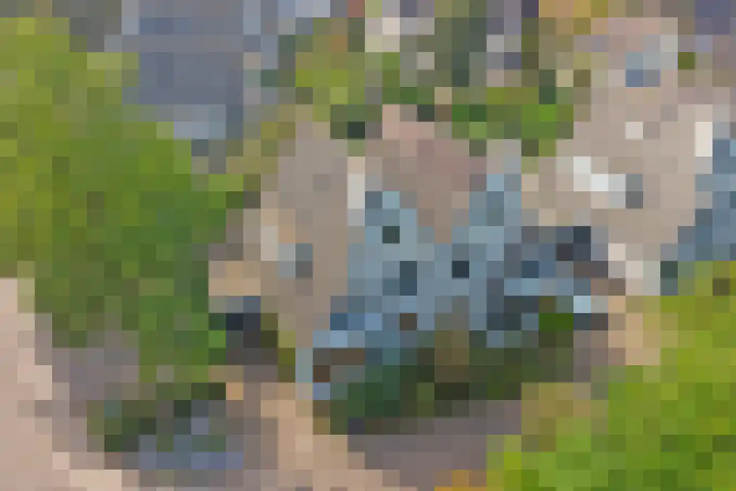 Vesting 47 Wijk bij Duurstede thumbnail 65