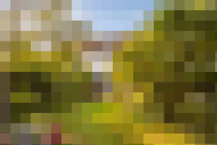 Vesting 5 Wijk bij Duurstede foto 2