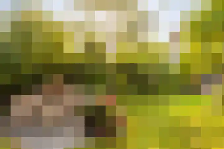 Vesting 5 Wijk bij Duurstede thumbnail 23