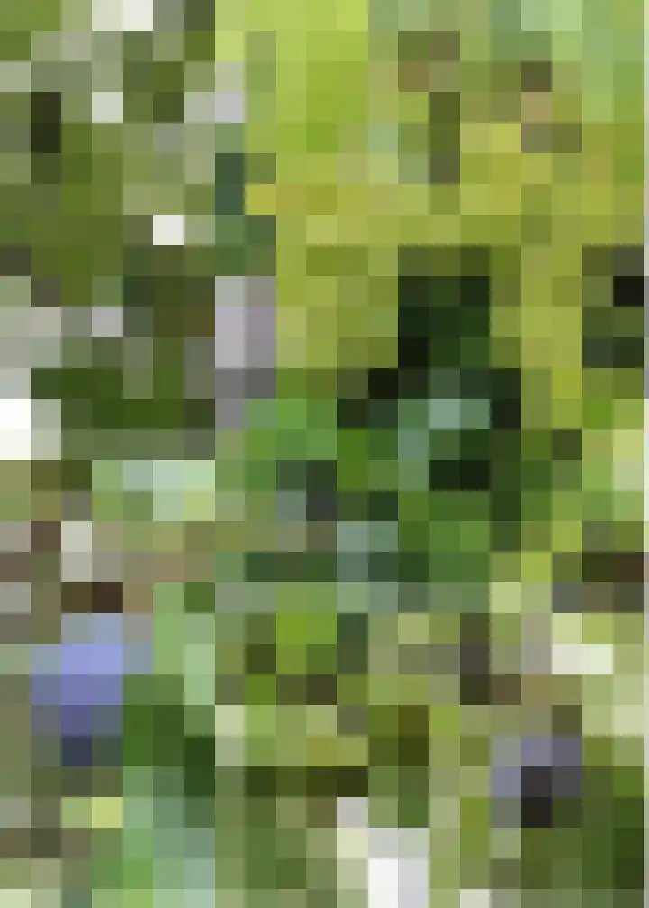 Vesting 5 Wijk bij Duurstede thumbnail 24