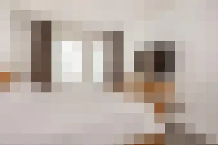 Vesting 5 Wijk bij Duurstede thumbnail 27