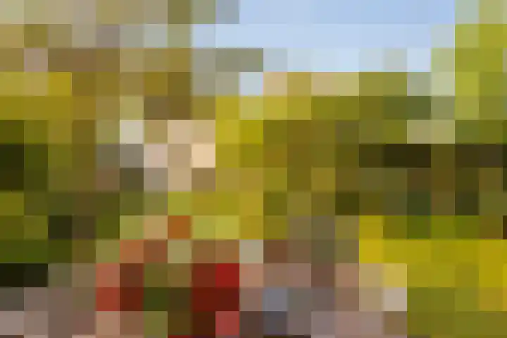 Vesting 5 Wijk bij Duurstede foto 3