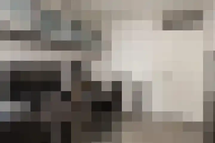 Vesting 5 Wijk bij Duurstede thumbnail 30