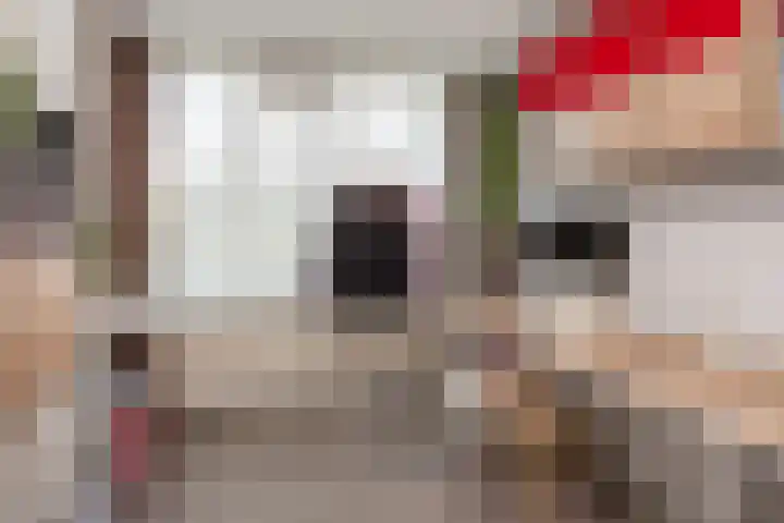 Vesting 5 Wijk bij Duurstede thumbnail 31