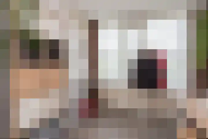 Vesting 5 Wijk bij Duurstede thumbnail 32