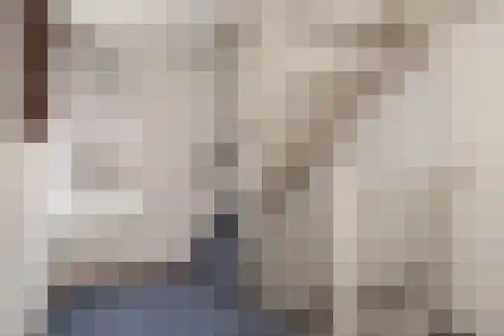 Vesting 5 Wijk bij Duurstede thumbnail 36