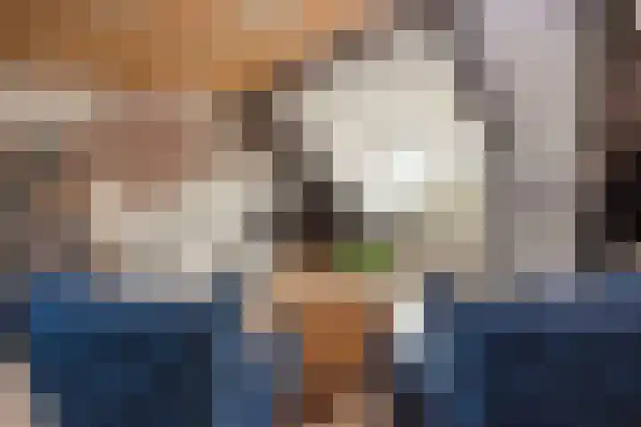 Vesting 5 Wijk bij Duurstede thumbnail 37