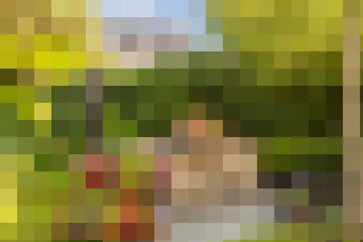 Vesting 5 Wijk bij Duurstede thumbnail 4