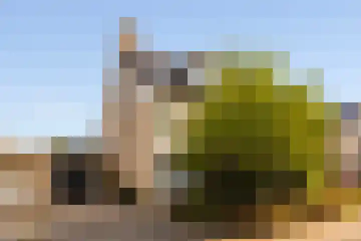 Vesting 5 Wijk bij Duurstede thumbnail 41