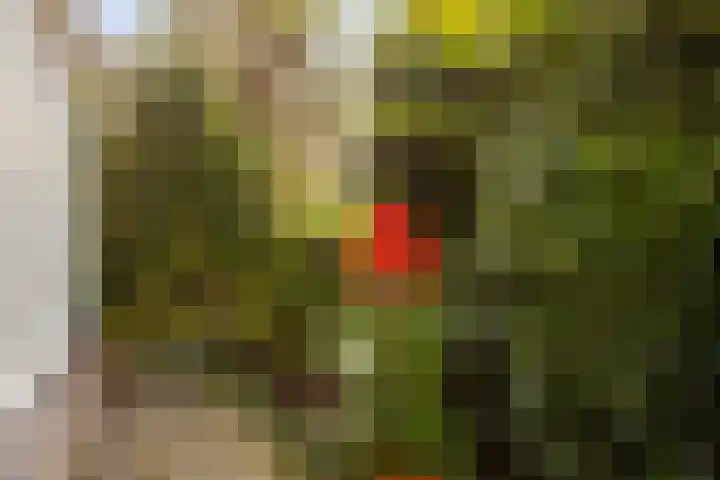 Vesting 5 Wijk bij Duurstede thumbnail 44