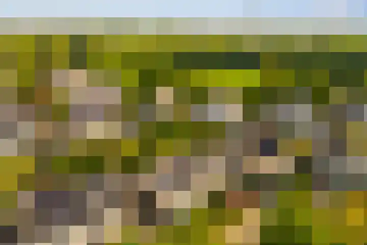 Vesting 5 Wijk bij Duurstede thumbnail 45
