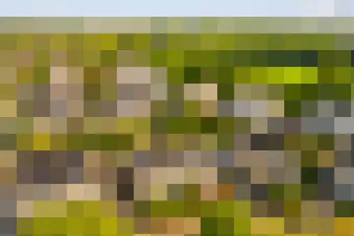 Vesting 5 Wijk bij Duurstede thumbnail 46