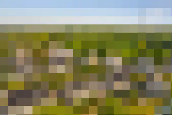 Vesting 5 Wijk bij Duurstede thumbnail 47