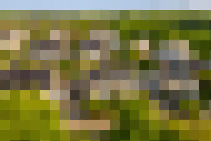 Vesting 5 Wijk bij Duurstede thumbnail 48