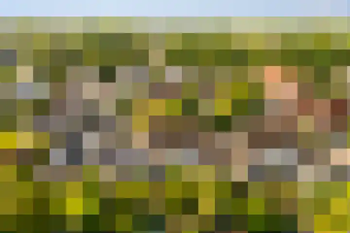 Vesting 5 Wijk bij Duurstede thumbnail 49