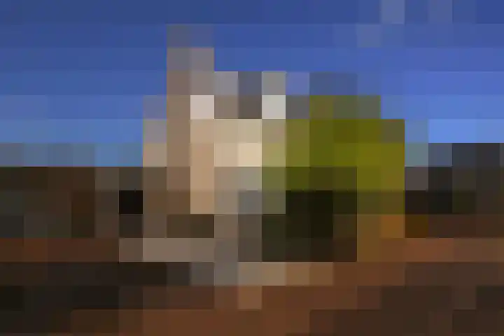 Vesting 5 Wijk bij Duurstede thumbnail 51